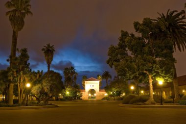 Stanford.