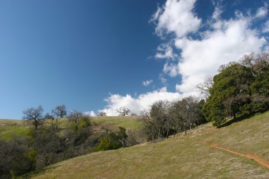 Henry Coe Sp