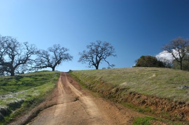 Henry Coe Sp