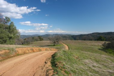 Henry Coe Sp