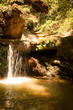 Berry creek falls iz