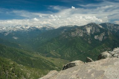 Sekoya Ulusal Parkı