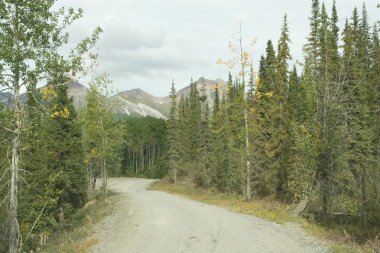 Wrangell-St. Elias