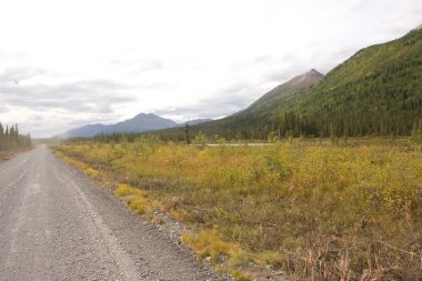 Wrangell-St. Elias