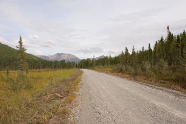 Wrangell-St. Elias