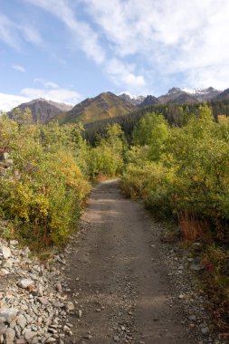 Wrangell-St. Elias