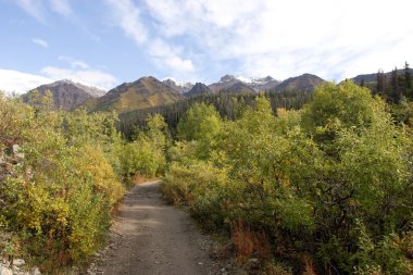 Wrangell-St. Elias