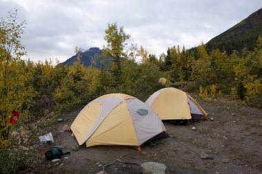 Wrangell-St. Elias