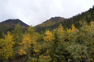 Wrangell-St. Elias