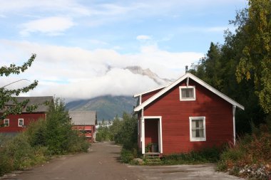 Wrangell-St. Elias Ulusal Parkı