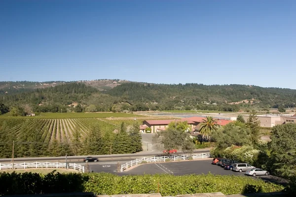 Azienda vinicola Napa — Foto Stock