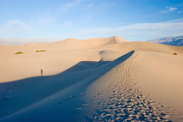 Dunes Stovepipe — Photo