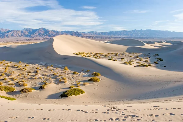 Estufa dunas — Foto de Stock