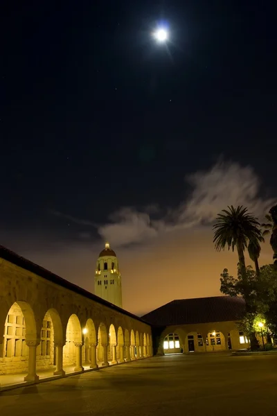 Stanford — Stock fotografie
