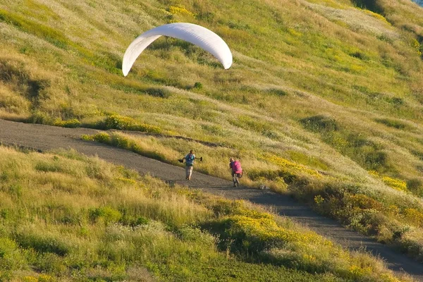 stock image Paragliding