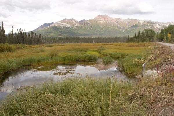 stock image Wrangell-St. Elias