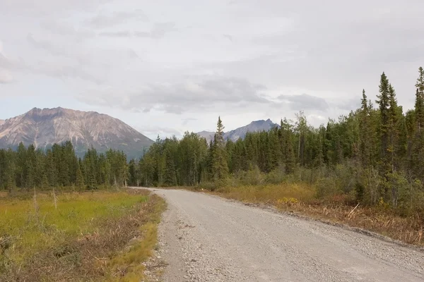 stock image Wrangell-St. Elias