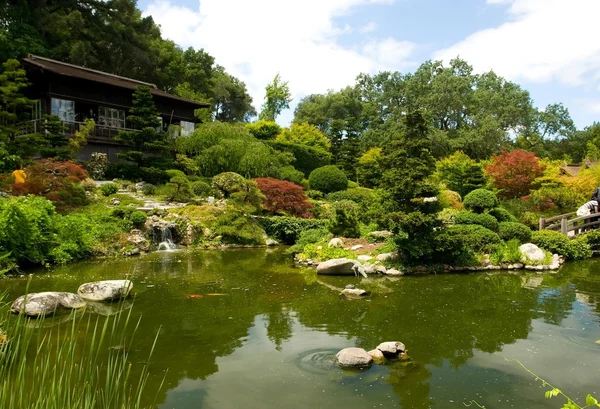 Jardín japonés —  Fotos de Stock