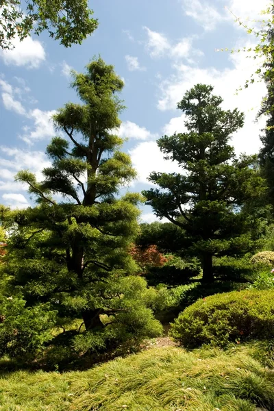 Japanischer Garten — Stockfoto
