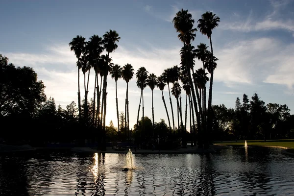 Park las palmas — Zdjęcie stockowe
