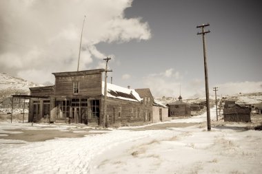 Bodie