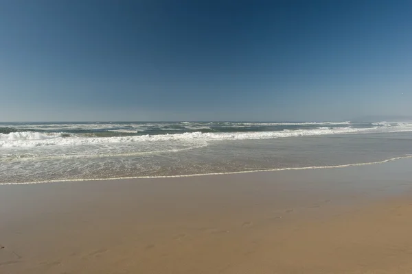 stock image San Gregorio State Beach