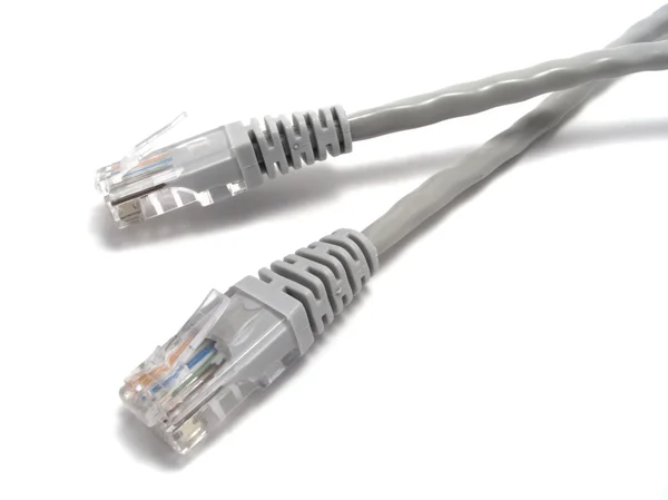 stock image Network cable