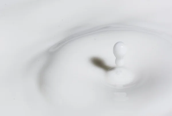 Капля молока — стоковое фото