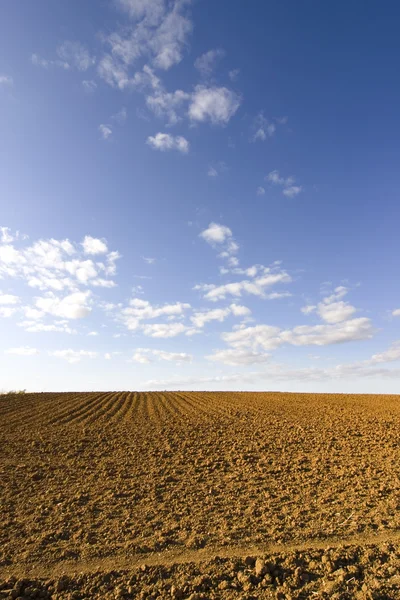 Brown soil field — Stock Photo, Image