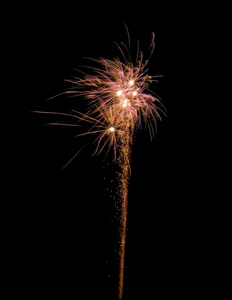 Celebration firework — Stock Photo, Image