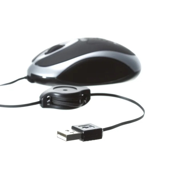 コンピューター技術のマウス — ストック写真