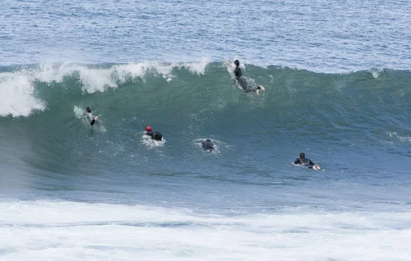 stock image Summer sport surf