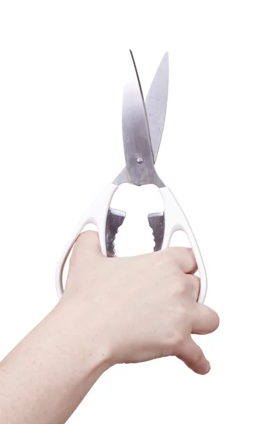 Isolated scissors — Stock Photo, Image