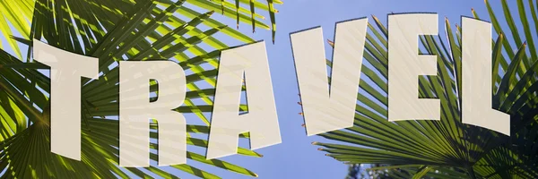 Reizen naar palmbomen — Stockfoto