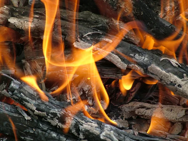 Древесина горит в огне . — стоковое фото