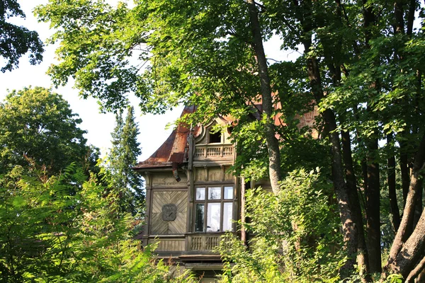 Casa de madeira velha na floresta frondosa — Fotografia de Stock
