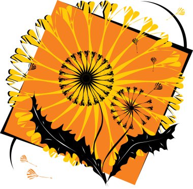 Dandelions clipart