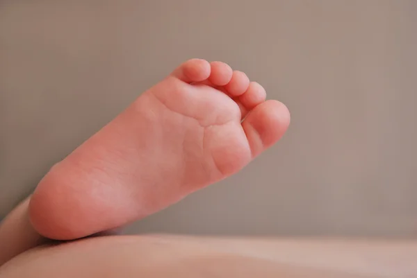 Foten av baby — Stockfoto