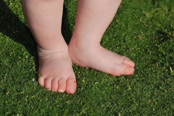 緑の芝生に足 — ストック写真
