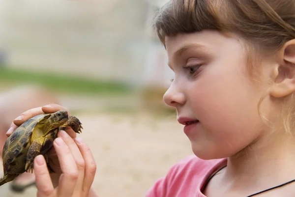 stock image Little girl playing with turtle