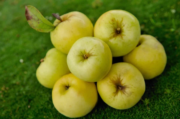 Äpplen på grönt gräs — Stockfoto