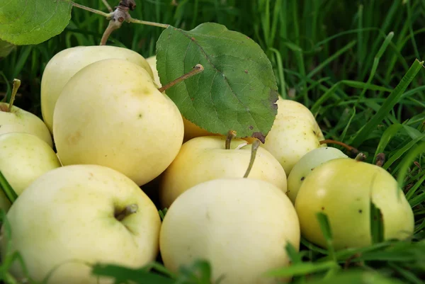 Группа яблок белого сока — стоковое фото
