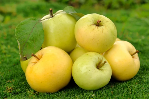Högen av äpplen på grön grass_2 — Stockfoto