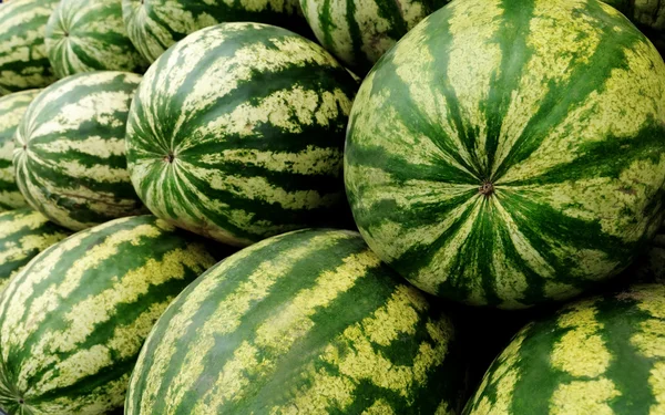 stock image Watermelon