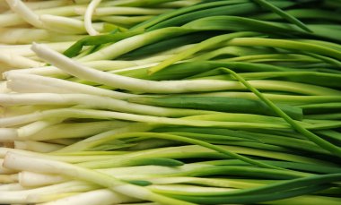 Spring onion clipart