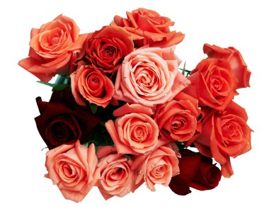 Bouquet of red roses isolated clipart