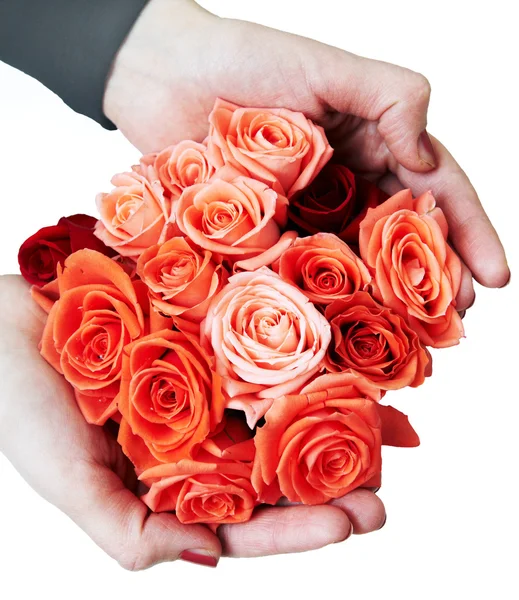 Ręce bukiet czerwonych róż na białym tle — Zdjęcie stockowe
