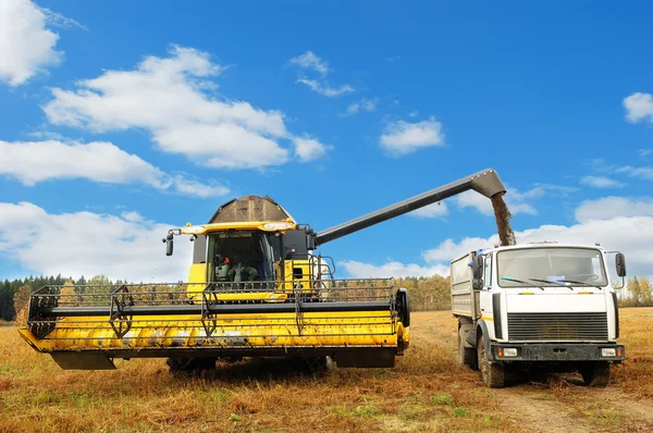 Combine colheitadeira carregando um caminhão no — Fotografia de Stock