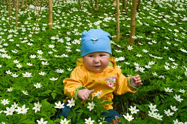 Dítě uprostřed bílé květy — Stock fotografie