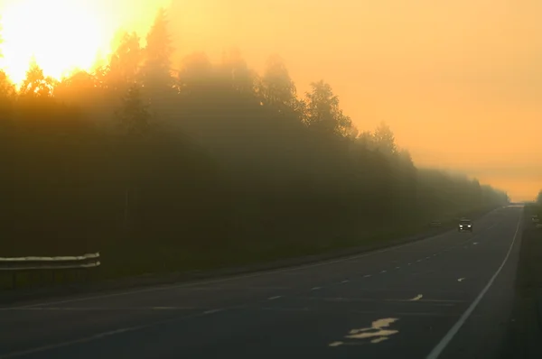 Туман на дороге — стоковое фото